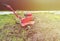 a farmer uses a red-colored technique to cultivate a small plot of land. plows, cultivates the land