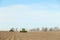 A farmer uses a tractor and a planter to plant potatoes in Idaho.