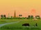 A farmer is using buffalo to shovel the soil in a rice field with a big Buddha image and the morning sun  background