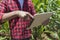 Farmer using digital tablet computer in cultivated corn field plantation