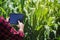 Farmer using digital tablet computer in cultivated corn field plantation