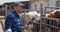 Farmer using digital tablet while looking at cows