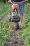 Farmer using a motocultivator to dig the soil ground to grow sweet potato tree plants in an agricultural field