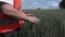 Farmer using tablet near cereals