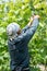 Farmer vintner observing a plant grapes in the grape fields