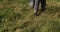 Farmer walking with a bucket, rear view