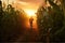 Farmer walking through corn field at sunrise