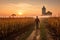 Farmer walking through corn field at sunrise