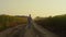 Farmer walking field road rear view. Agronomist inspecting sunflower plantation