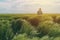 Farmer walking through a green wheat field