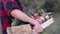 Farmer Walks with   Box full of Vegetables Through field on the organic farm. Close-up slow motion