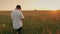 The farmer walks the wheat field, looks at the spikelets. Rear view at sunset. Steadicam slow motion shot