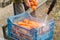 The farmer washes of the soil from freshly harvested carrots using pressure washer. Eco friendly products. Agriculture. Farming.