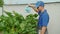 Farmer waters zucchini from a watering can in his garden