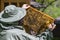 Farmer wearing bee suit working with honeycomb in apiary. Beekeeping in countryside. Male beekeeper in a beekeeper costume,