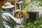 Farmer wearing bee suit working with honeycomb in apiary. Beekeeping in countryside. Male beekeeper in a beekeeper costume,