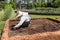 farmer wearing hat and white shirt is preparing soil for agriculture or farmland