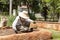 farmer wearing hat and white shirt is preparing soil for agriculture or farmland