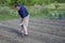 Farmer Weeding His Garden With A Hoe