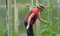 The farmer weeding the seedlings of cucumber. Care of seedlings in the garden. Agriculture in the greenhouse.