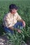 Farmer in wheat field