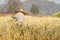 Farmer with wheat in hands. Field of wheat