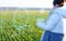 Farmer woman analyzes plants on the field using artificial intelligence. The received data is displayed on a virtual screen availa