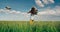 Farmer woman caucasian bulgarian girl with straw hat happy jumping in green wheat field in the countryside in a sunny day 4K vide