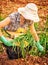 Farmer woman in the garden