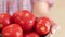 Farmer woman holding fresh picked tomatoes, close-up
