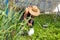 Farmer woman removing weeds