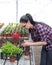 Farmer woman with sprouts in greenhouse