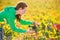 Farmer woman in vineyard harvest autumn in mediterranean