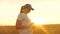 Farmer woman in wheat field at sunset. Organic grain on plantation. Agronomist woman farmer, business woman looks into a