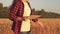 Farmer woman working with tablet on wheat field. agronomist with tablet studying wheat harvest in the field. business