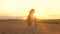 Farmer woman working in wheat field at sunset. Agronomist, farmer, business woman looks into tablet in wheat field