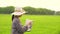 Farmer women holding laptop and checking data on rice field and sunset background of organic agriculture in rural