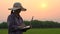 Farmer women holding laptop and checking data on rice field and sunset background of organic agriculture in rural