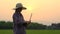 Farmer women holding laptop and checking data on rice field and sunset background of organic agriculture in rural