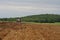 Farmer work on sugarcane field, herbicide application, Kampangphet, Thailand on November8, 2017