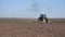 Farmer Working Agriculture Field, Tractor Plowing Land, Farming in Spring, Rustic View at Countryside