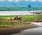 Farmer working in the fiel