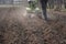 Farmer working in field