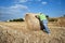 Farmer working at his farmland