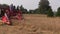 Farmer working with old grain harvester combine in farm field