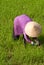 Farmer working in a paddy field