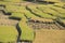 Farmer Working at Paddy Rice Field .