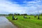 A farmer working rice plant in farm of Thailand