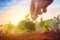 Farmer working in soybean field in morning