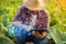 Farmer working in the tobacco field. Man is examining and using digital tablet to management, planning or analyze on tobacco plant